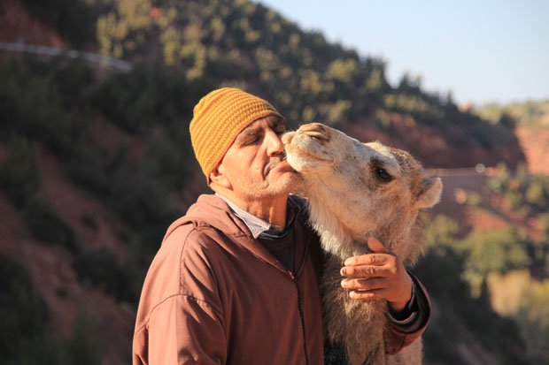 A man and his young camel on the road to Oukaimeden